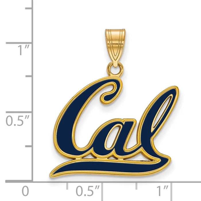 Sterling Silver Goldplated University of California Berkeley Large Enameled Pendant TreasureFineJewelers Necklaces